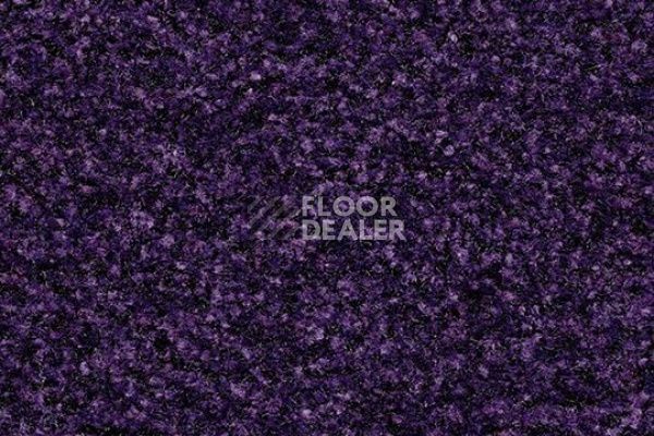 Грязезащитные покрытия Forbo Coral Brush 5709 royal purple фото 1 | FLOORDEALER